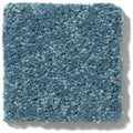 NEWBERN CLASSIC 12' 100% Pet Polyester Carpet 12 ft. x Custom Length R2X® Built-in Stain & Soil Protection