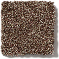 OF COURSE WE CAN I 12' 100% Pet Polyester Carpet 12 ft. x Custom Length R2X® Built-in Stain & Soil Protection