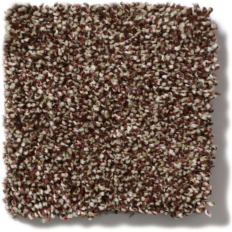 OF COURSE WE CAN III 12' 100% Pet Polyester Carpet 12 ft. x Custom Length R2X® Built-in Stain & Soil Protection