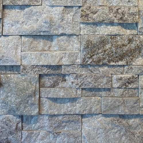 Oyster Shell - Stone Tile Quartzite Ledge