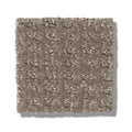 STAY FIT 100% SD PET Polyester Carpet 12 ft. x Custom Length