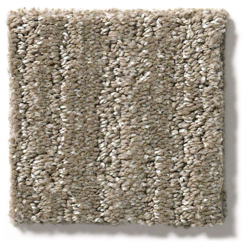 EASY FIT 100% SD PET Polyester Carpet 12 ft. x Custom Length R2X® Built-in Stain & Soil Protection