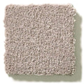 MONTAGE I 100% Pet Polyester Carpet 12 ft. x Custom Length R2X® Built-in Stain & Soil Protection