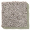 MONTAGE I 100% Pet Polyester Carpet 12 ft. x Custom Length R2X® Built-in Stain & Soil Protection