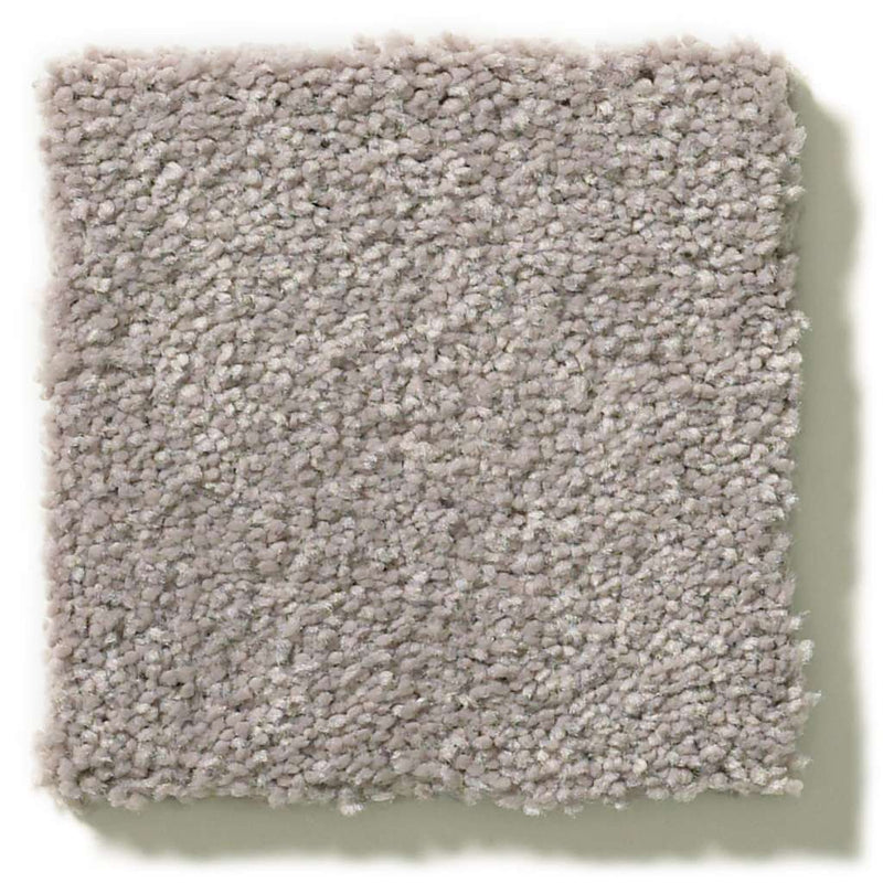 MONTAGE II 100% BCF Cleartouch PET Polyester Carpet 12 ft. x Custom Length R2X® Built-in Stain & Soil Protection