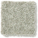 DYERSBURG CLASSIC 12' 100% Pet Polyester Carpet 12 ft. x Custom Length R2X® Built-in Stain & Soil Protection