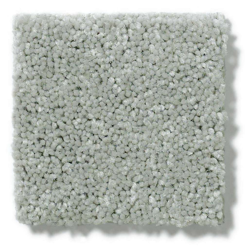 NEWBERN CLASSIC 12' 100% Pet Polyester Carpet 12 ft. x Custom Length R2X® Built-in Stain & Soil Protection