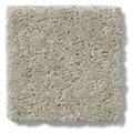 NEWBERN CLASSIC 12' 100% Pet Polyester Carpet 12 ft. x Custom Length R2X® Built-in Stain & Soil Protection