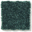 DYERSBURG CLASSIC 12' 100% Pet Polyester Carpet 12 ft. x Custom Length R2X® Built-in Stain & Soil Protection