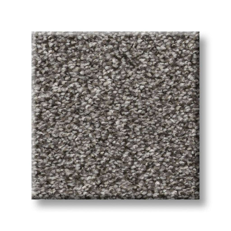 TRUSPIRIT II 100% SD PET Polyester Carpet 12 ft. x Custom Length