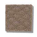 FORMALIZE 100% Nylon Carpet 12 ft. x Custom Length R2X® Built-in Stain & Soil Protection