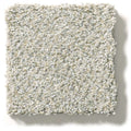 MONTAGE I 100% Pet Polyester Carpet 12 ft. x Custom Length R2X® Built-in Stain & Soil Protection