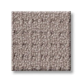 FAINT INTENT 100% Nylon Carpet 12 ft. x Custom Length R2X® Built-in Stain & Soil Protection