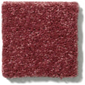 NEWBERN CLASSIC 12' 100% Pet Polyester Carpet 12 ft. x Custom Length R2X® Built-in Stain & Soil Protection