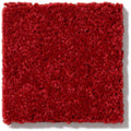 NEWBERN CLASSIC 12' 100% Pet Polyester Carpet 12 ft. x Custom Length R2X® Built-in Stain & Soil Protection