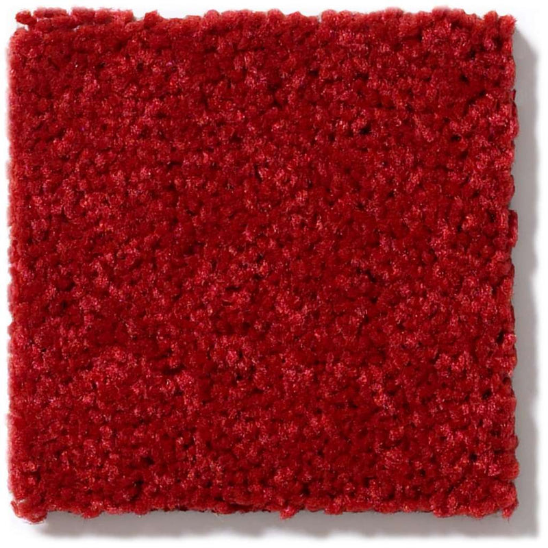 NEWBERN CLASSIC 12' 100% Pet Polyester Carpet 12 ft. x Custom Length R2X® Built-in Stain & Soil Protection