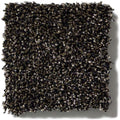 OF COURSE WE CAN I 12' 100% Pet Polyester Carpet 12 ft. x Custom Length R2X® Built-in Stain & Soil Protection