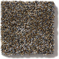 OF COURSE WE CAN I 12' 100% Pet Polyester Carpet 12 ft. x Custom Length R2X® Built-in Stain & Soil Protection