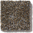 OF COURSE WE CAN III 12' 100% Pet Polyester Carpet 12 ft. x Custom Length R2X® Built-in Stain & Soil Protection