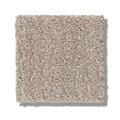 TRANSLATE 100% SD PET Polyester Carpet 12 ft. x Custom Length