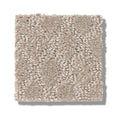 TRANSCENDING 100% SD PET Polyester Carpet 12 ft. x Custom Length