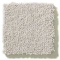 MONTAGE I 100% Pet Polyester Carpet 12 ft. x Custom Length R2X® Built-in Stain & Soil Protection