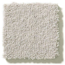 MONTAGE I 100% Pet Polyester Carpet 12 ft. x Custom Length R2X® Built-in Stain & Soil Protection