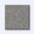 HARMONIOUS II 100% Nylon Carpet 12 ft. x Custom Length R2X® Built-in Stain & Soil Protection