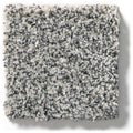 WITHIN REACH I 100% PET Polyester Carpet 12 ft. x Custom Length