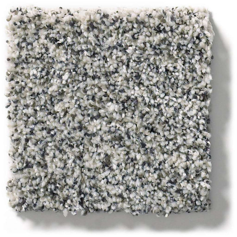 WITHIN REACH I 100% PET Polyester Carpet 12 ft. x Custom Length