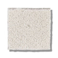 MAINSTAY 100% Nylon Carpet 12 ft. x Custom Length R2X® Built-in Stain & Soil Protection