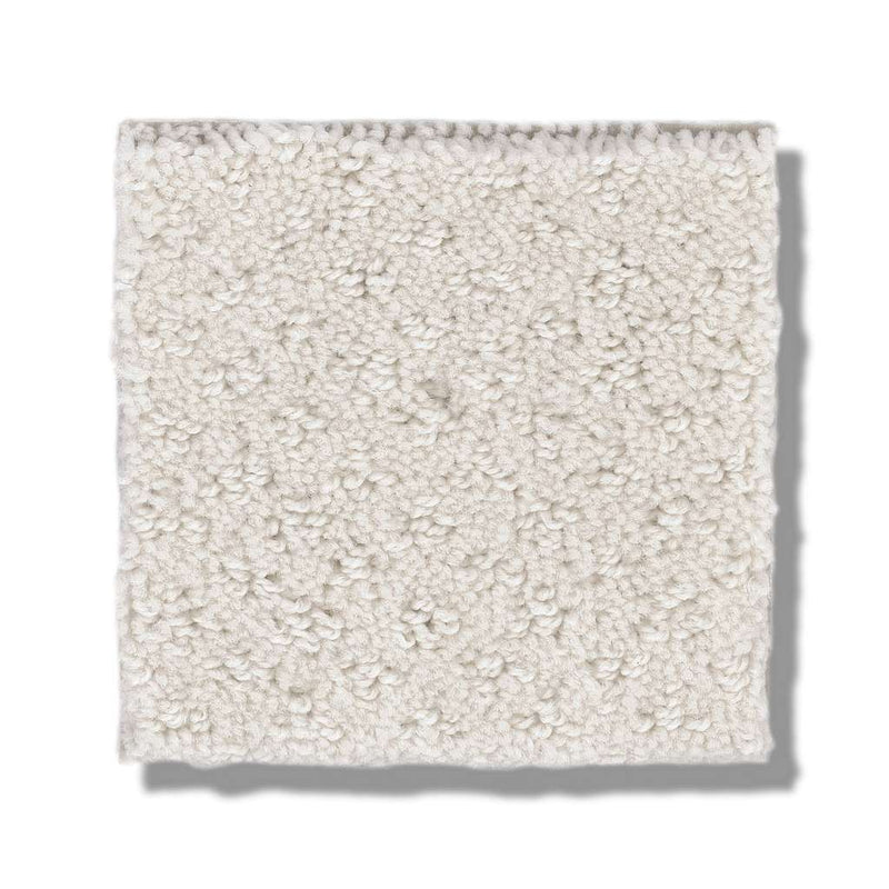 MAINSTAY 100% Nylon Carpet 12 ft. x Custom Length R2X® Built-in Stain & Soil Protection