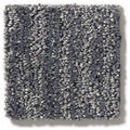 EASY FIT 100% SD PET Polyester Carpet 12 ft. x Custom Length R2X® Built-in Stain & Soil Protection