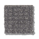 STAY FIT 100% SD PET Polyester Carpet 12 ft. x Custom Length