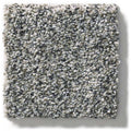 WITHIN REACH I 100% PET Polyester Carpet 12 ft. x Custom Length