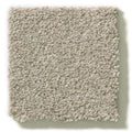 MONTAGE II 100% BCF Cleartouch PET Polyester Carpet 12 ft. x Custom Length R2X® Built-in Stain & Soil Protection