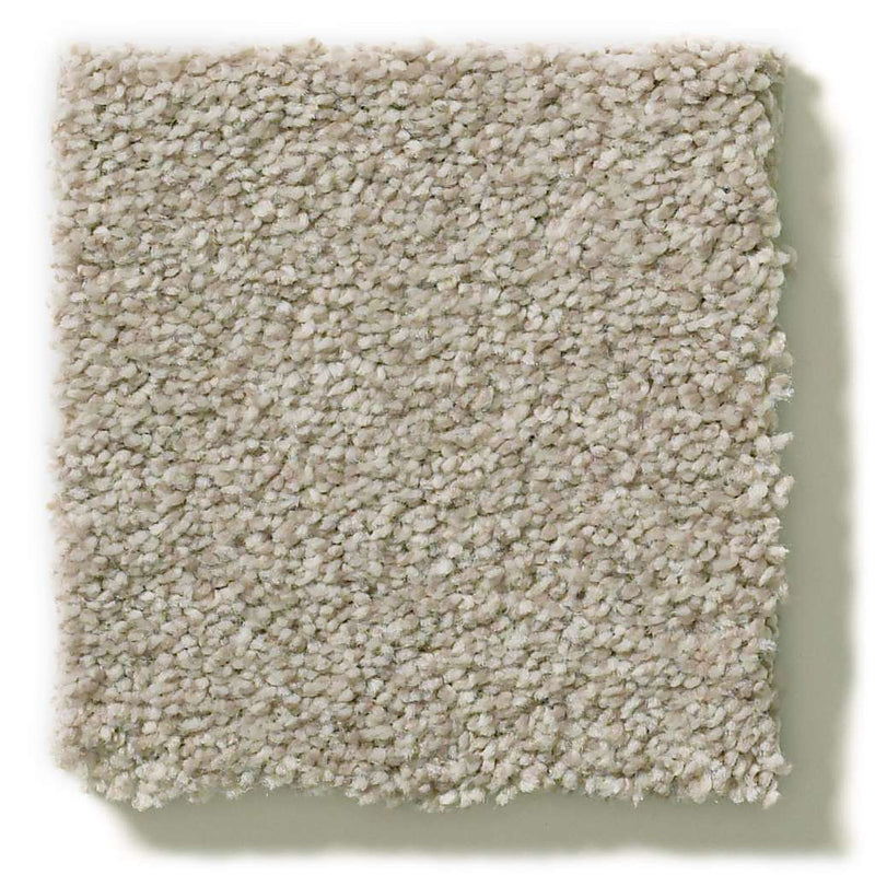 MONTAGE II 100% BCF Cleartouch PET Polyester Carpet 12 ft. x Custom Length R2X® Built-in Stain & Soil Protection