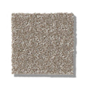 TRANSFORM 100% SD PET Polyester Carpet 12 ft. x Custom Length