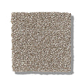 TRANSLATE 100% SD PET Polyester Carpet 12 ft. x Custom Length