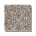 TRANSCENDING 100% SD PET Polyester Carpet 12 ft. x Custom Length