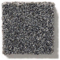 WITHIN REACH III 100% PET Polyester Carpet 12 ft. x Custom Length