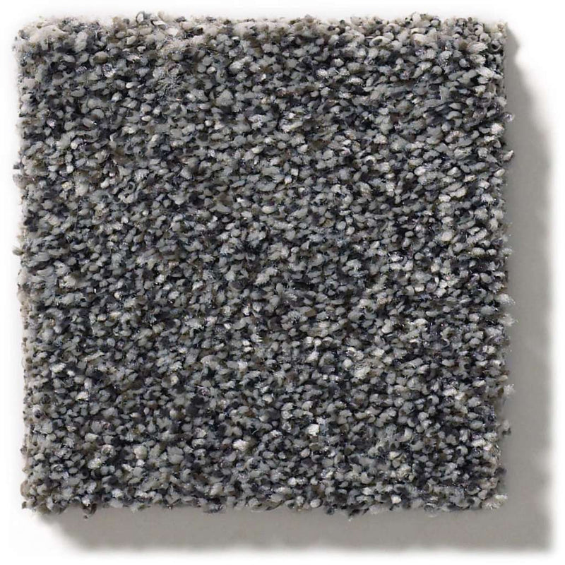 WITHIN REACH II 100% PET Polyester Carpet 12 ft. x Custom Length