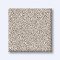 HARMONIOUS I 100% Nylon Carpet 12 ft. x Custom Length R2X® Built-in Stain & Soil Protection
