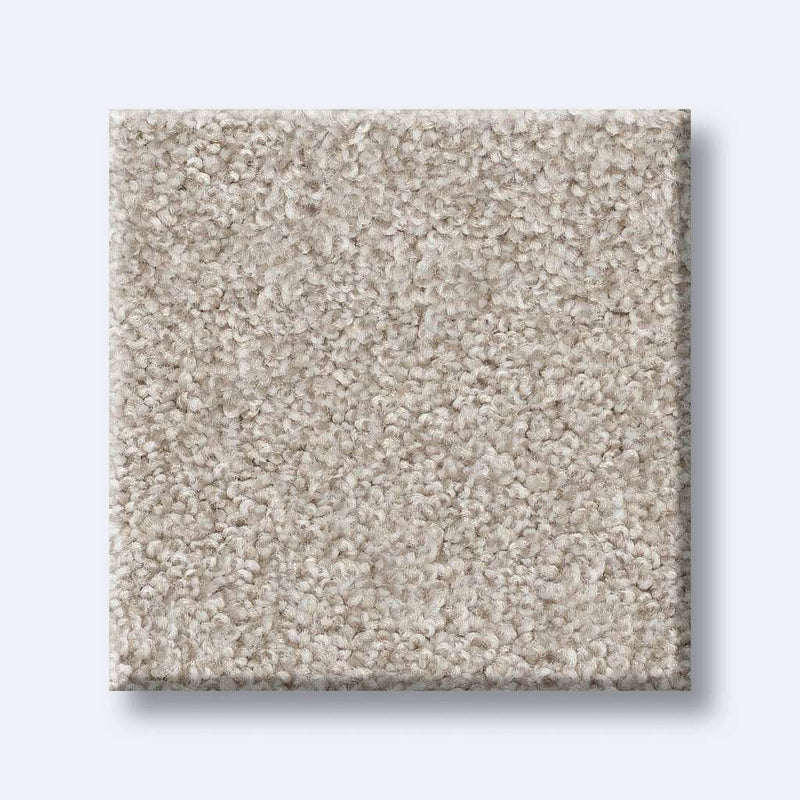 HARMONIOUS III 100% Nylon Carpet 12 ft. x Custom Length R2X® Built-in Stain & Soil Protection