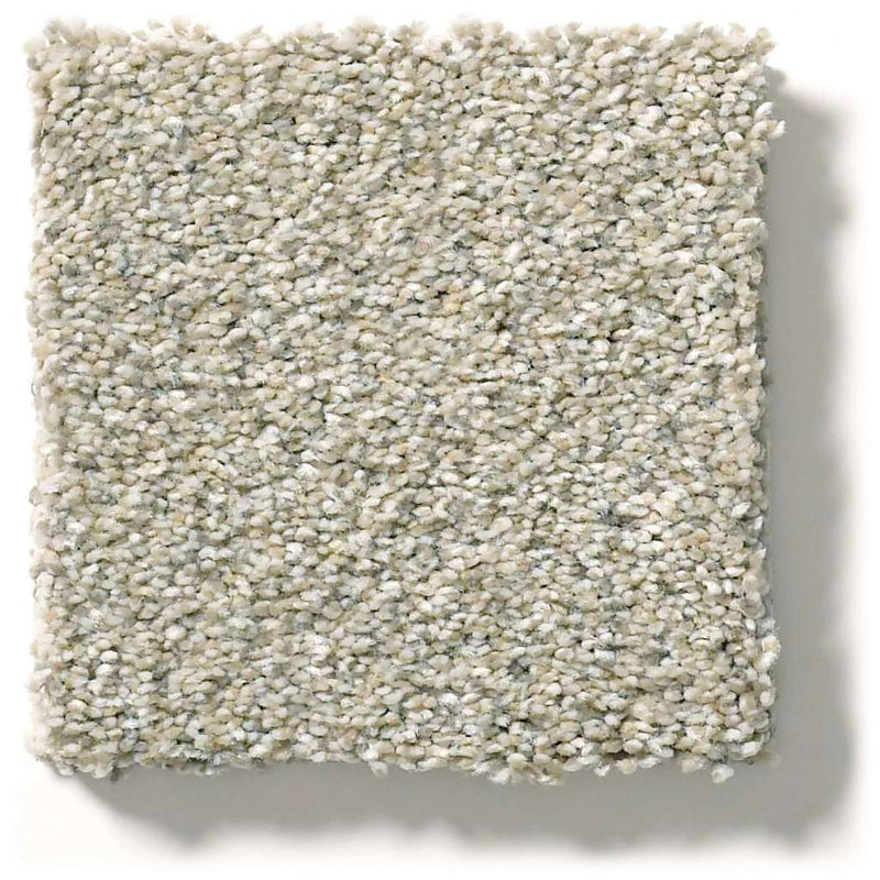 MONTAGE I 100% Pet Polyester Carpet 12 ft. x Custom Length R2X® Built-in Stain & Soil Protection