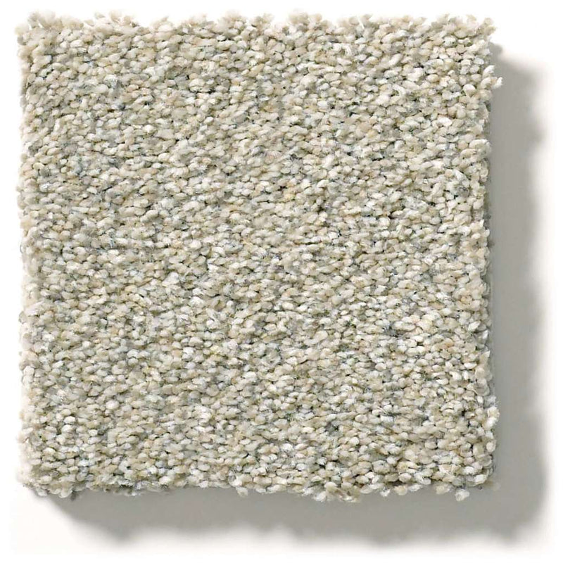 MONTAGE II 100% BCF Cleartouch PET Polyester Carpet 12 ft. x Custom Length R2X® Built-in Stain & Soil Protection