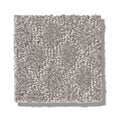 TRANSCENDING 100% SD PET Polyester Carpet 12 ft. x Custom Length