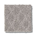 TRANSCENDING 100% SD PET Polyester Carpet 12 ft. x Custom Length