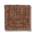 FINE STRUCTURE 100% Nylon Carpet 12 ft. x Custom Length R2X® Built-in Stain & Soil Protection, Spill-Proof Backing