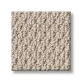 NATURALISTIC 100% Nylon Carpet 12 ft. x Custom Length R2X® Built-in Stain & Soil Protection